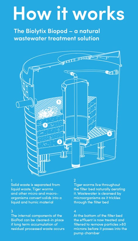 Bioengineered water filtration system